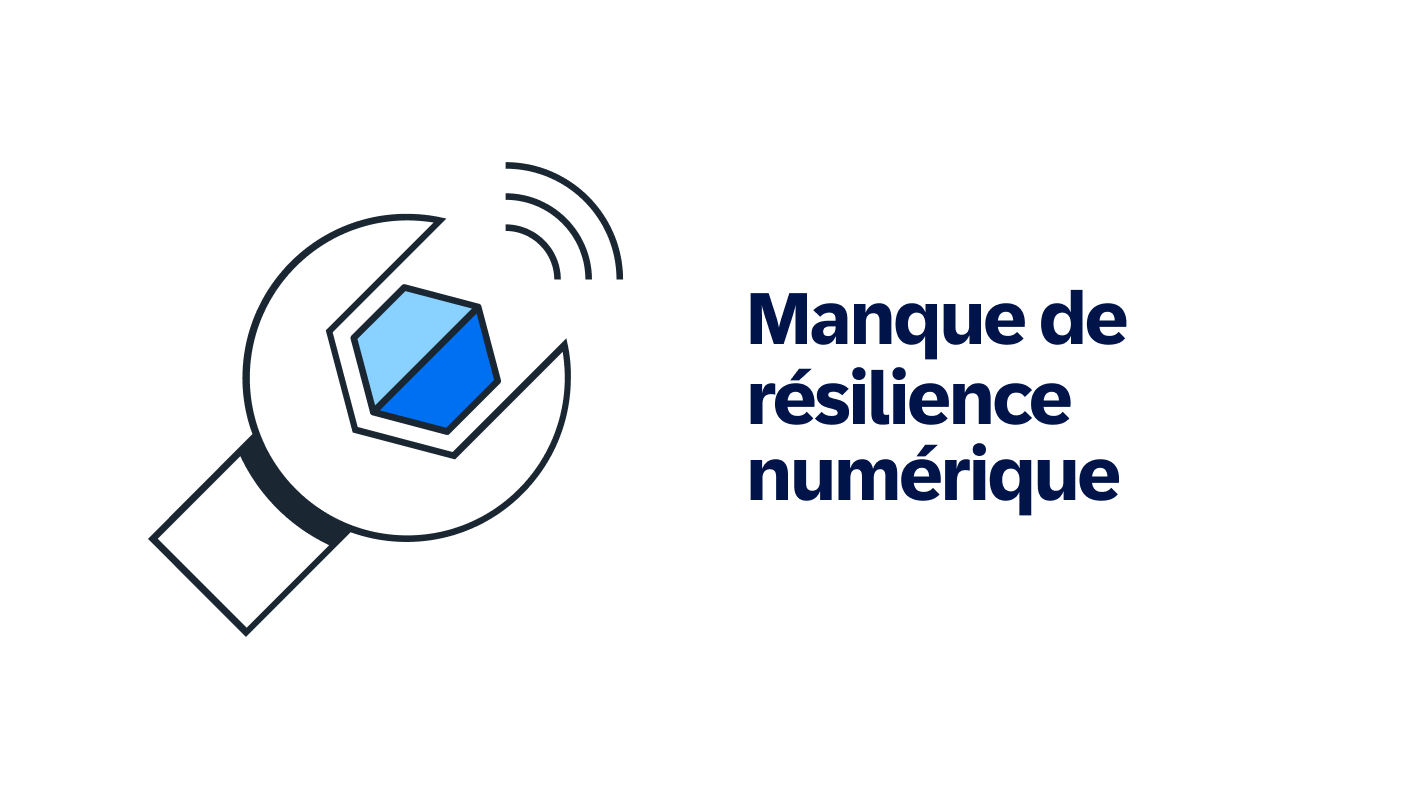 Lack of digital  resilience - Manque de résilience numérique
